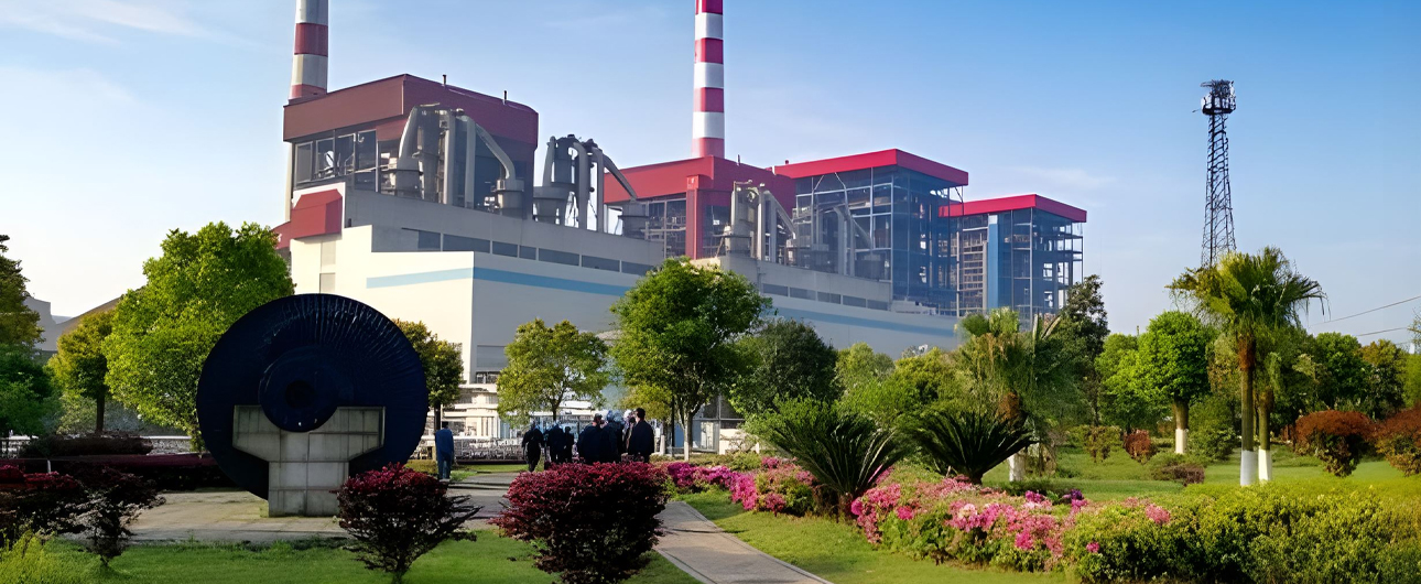 Alii boiler